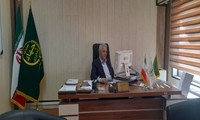 دسترسی به امنیت غذایی پایدار با استانداردسازی بین‌المللی محصولات کشاورزی